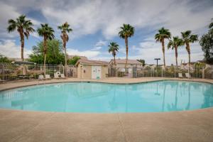 a large blue swimming pool with palm trees at Las Vegas Vacation Rental with Pool Access in Las Vegas