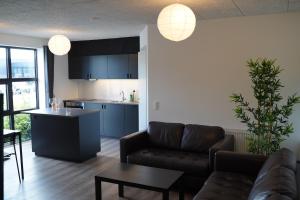 a living room with a couch and a kitchen at Holiday Apartments Tønder in Tønder