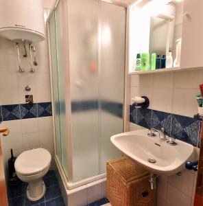 a bathroom with a shower and a toilet and a sink at Casa Colmet - Bilocale Spazioso La Thuile in La Thuile
