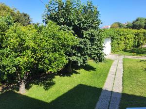 Fotografie z fotogalerie ubytování Angelana Beach Villa v destinaci Faliraki