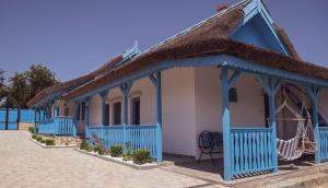 uma casa azul e branca com telhado de palha em Casa Dima Sarichioi em Sarichioi