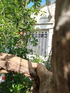 Φωτογραφία από το άλμπουμ του Aphrodite's hidden gem on Paxos island σε Velianitátika