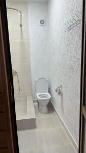 a white bathroom with a toilet and a shower at ЛИЛИЯ in Gudauta