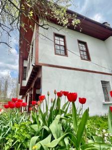 a group of red tulips in front of a building at Balabanağa Çiftliği Camping in Daday