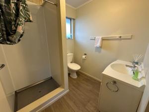 a bathroom with a toilet and a sink and a shower at Inner Gem On Ada in Palmerston North