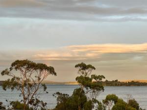 a view of the water with trees in the foreground at The Sounds in Murdunna