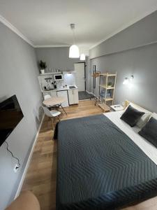 1 dormitorio con 1 cama grande y cocina en Стильная студия Shadow Атакент en Almaty