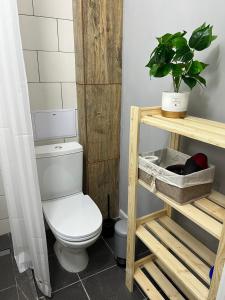 a bathroom with a toilet and a plant on a shelf at Стильная студия Shadow Атакент in Almaty