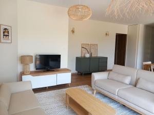 a living room with a couch and a tv at Maison neuve avec piscine chauffée, 4 kms de Contis plage in Saint-Julien-en-Born