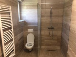 a bathroom with a toilet and a glass shower at Relax 38 in Prievidza