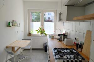 Kuchyň nebo kuchyňský kout v ubytování Private Apartment