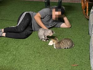 Ospiti di HeMei Homestay con animali domestici