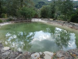 una gran piscina de agua verde con un puente. en Alluring Farmhouse in Ortignano with Swimming Pool, en Castel Focognano