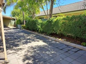 a sidewalk in front of a house with bushes at Welcome to Schnippen Inn. in Tanunda