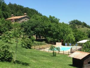 Apecchio的住宿－Timeless Holiday Home in Apecchio with Garden，后院,带游泳池,房子和树木