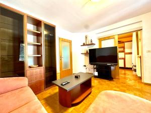 TV a/nebo společenská místnost v ubytování Apartment Jerneja