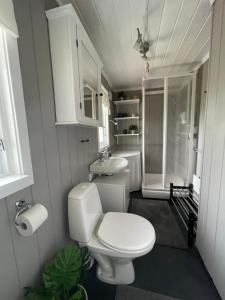 Koupelna v ubytování The cabin Rolf in Trysil