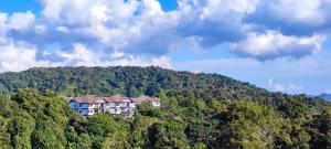 un bâtiment au sommet d'une colline plantée d'arbres dans l'établissement Tekoma Resort Cameron Highlands, à Tanah Rata