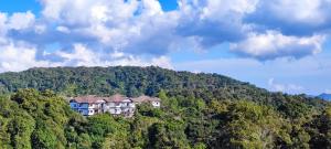 丹那拉打的住宿－Tekoma Resort Cameron Highlands，一座树冠茂密的山顶上的建筑