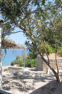 Kuvagallerian kuva majoituspaikasta Samos Kalypso Eros sea view, joka sijaitsee kohteessa Livadáki