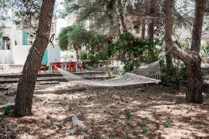 Fotografie z fotogalerie ubytování Villa Maria in Puglia con pineta vicino al mare v destinaci Torre Suda