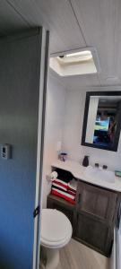 een badkamer met een toilet, een wastafel en een spiegel bij US Camping Uckermark in Temmen-Ringenwalde