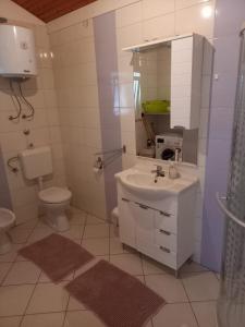 een badkamer met een wastafel, een toilet en een spiegel bij Apartman Privlaka in Privlaka