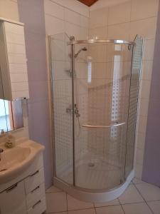 een douche met een glazen deur in de badkamer bij Apartman Privlaka in Privlaka