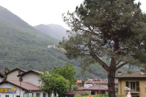 a village with a tree and mountains in the background at Casa Variante in Cannobio +5 photos