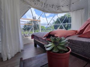 Posezení v ubytování Villa Relax
