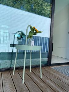 Gallery image of Chalet Park by Maier Höchst in Höchst