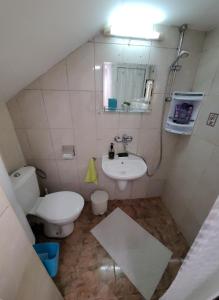 een kleine badkamer met een toilet en een wastafel bij Danaya's apartment in Varna