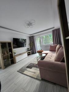 sala de estar con sofá y TV en EDWARD RESIDENCE, en Slănic-Moldova