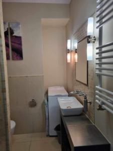 ヤストシェンビャ・グラにあるApartament Lawendowyのバスルーム(洗面台、トイレ付)