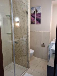 ヤストシェンビャ・グラにあるApartament Lawendowyのバスルーム(シャワー、トイレ、洗面台付)