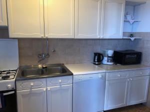 Kuchyň nebo kuchyňský kout v ubytování Apartman Štefanija + 15 fotografií