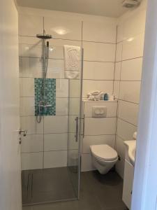 ein Badezimmer mit Toilette und Glasdusche in der Unterkunft Apartment Matic in Vrsi + 37 Fotos