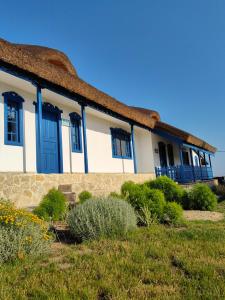 una casa con puertas azules y techo de hierba en Portita spre Delta en Jurilovca
