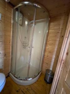 a shower in a cabin with a toilet in a room at Ty Bach Twt, Coity Bach in Brecon