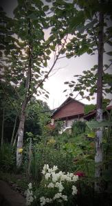 a garden with white flowers and trees and a house at Casa Atelier Transfăgărășan in Corbeni