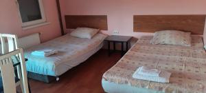 Ένα ή περισσότερα κρεβάτια σε δωμάτιο στο Guest House Trajkovic Jagodina