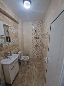 a bathroom with a toilet and a sink and a shower at La Maison Ruse Apartments in Ruse