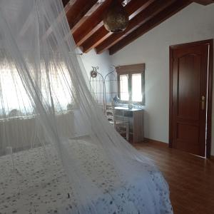 1 dormitorio con 1 cama con velo en Casa Rural Viñas Perdidas, en Béjar