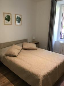 聖內克泰爾的住宿－Magnifique T4 avec terrasse à Saint-Nectaire - 8 pers，卧室内的一张带两个枕头的床