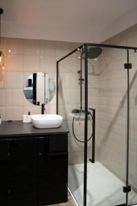 a bathroom with a sink and a glass shower at Letnica living space apartment in Gdańsk