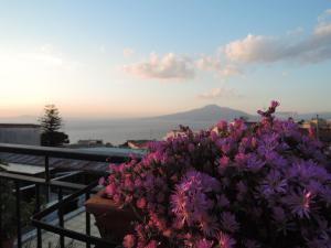 un ramo de flores púrpuras sentado en un balcón en La Casa nel Cortile, en Vico Equense