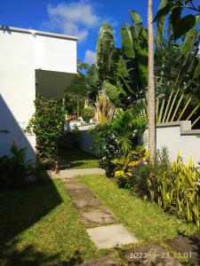 een tuin met een palmboom en een stoep bij APPARTMENT( LA PAPAYA) in La Gaulette