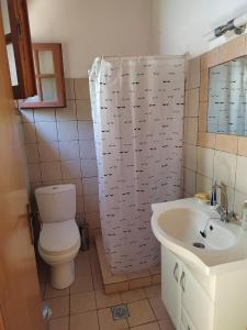 a bathroom with a toilet and a sink at Olive Garden Loft Apartment in Kokkari