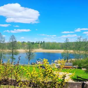 uma vista para um lago com árvores e um parque em Wigierska Buchta (DOMKI) em Rosochaty Róg