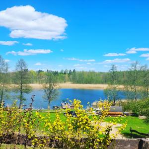 a view of a lake with trees and a park at Wigierska Buchta (DOMKI) in Rosochaty Róg